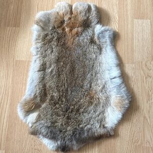 A309 rabbit pelt